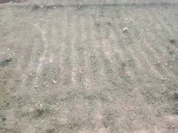  Residential Plot for Sale in Palhani Block, Azamgarh