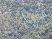  Agricultural Land for Sale in Shoghi, Shimla