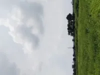  Agricultural Land for Sale in Tandur, Vikarabad