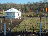  Agricultural Land for Sale in Khandwa Road, Indore