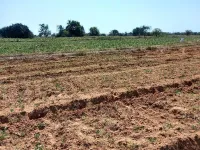  Agricultural Land for Sale in Ponnala, Siddipet