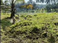  Agricultural Land for Sale in Tatipaka, East Godavari