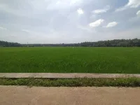  Agricultural Land for Sale in Ponnani, Malappuram