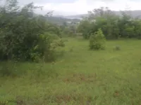  Agricultural Land for Sale in Pavana Lake, Pune