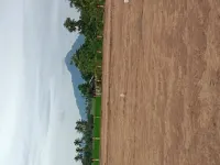  Residential Plot for Sale in Vembakkam, Tiruvannamalai