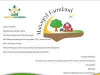  Agricultural Land for Sale in Madhugiri, Tumkur