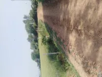  Agricultural Land for Sale in Talera, Bundi