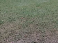  Agricultural Land for Sale in Tijara, Alwar