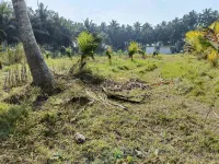  Commercial Land for Sale in Tatipaka, East Godavari