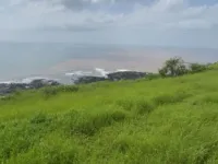  Agricultural Land for Sale in Dapoli, Ratnagiri
