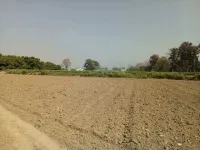 Agricultural Land for Sale in Ramnagar, Nainital