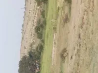  Residential Plot for Sale in Haveli, Pune