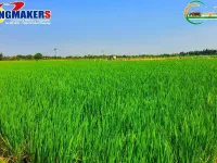 1 RK Farm House for Sale in Attur, Salem
