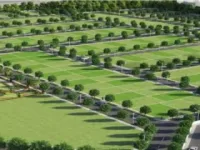 Residential Plot for Sale in Dholera, Ahmedabad