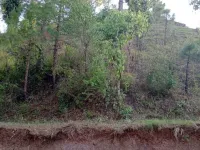  Agricultural Land for Sale in Saproon, Solan