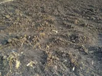  Agricultural Land for Sale in Yeola, Nashik