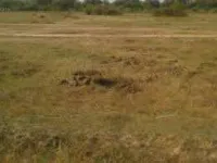  Agricultural Land for Sale in Mall Road, Faridkot