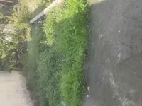 Agricultural Land for Sale in Shyampur, Rishikesh