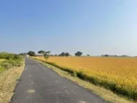  Agricultural Land for Sale in Dehlon, Ludhiana