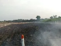  Agricultural Land for Sale in Anand Nagar Colony, Kondapur, Hyderabad