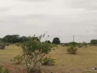  Agricultural Land for Sale in Cacora, Goa