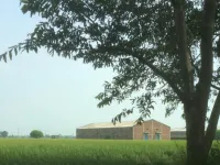  Warehouse for Rent in Sirhind Road, Patiala