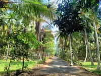  Agricultural Land for Sale in Andipatti Jakkampatti, Theni