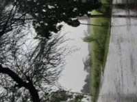  Agricultural Land for Sale in Jandiali, Ludhiana