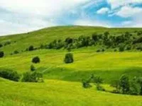  Farm House for Sale in Baddowal, Ludhiana