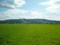  Commercial Land for Sale in Chandigarh Road, Ludhiana