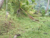  Agricultural Land for Sale in Diglipur, Andaman