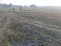  Residential Plot for Sale in Remuna, Baleswar