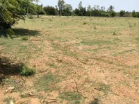  Agricultural Land for Sale in Kadapa, Cuddapah