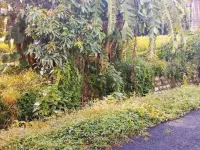  Residential Plot for Sale in Kusumkhera, Haldwani