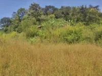 1 RK Farm House for Sale in Ponda, South Goa