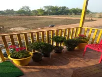 1 BHK Farm House for Sale in Takhatpur, Bilaspur