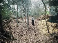  Residential Plot for Sale in Moira, North Goa