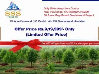  Agricultural Land for Sale in Vinukonda, Guntur
