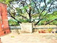 2 BHK Flat for Sale in Saidapet, Chennai