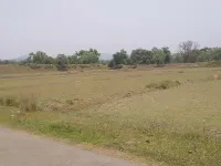  Agricultural Land for Sale in Lattikata, Sundargarh