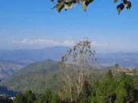  Residential Plot for Sale in Lamgara, Almora