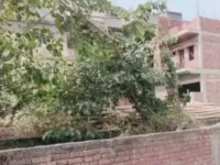  1650 Sq.ft. Residential Plot for Sale in Raghuwanshi Nagar, Danapur, Patna