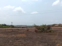 Agricultural Land for Sale in Devgad, Sindhudurg