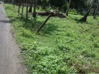  Agricultural Land for Sale in Razole, East Godavari