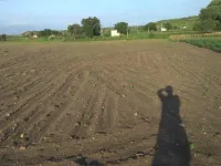  Agricultural Land for Sale in Gargeyapuram, Kurnool