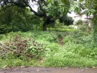  Residential Plot for Sale in Anjuna, North Goa,