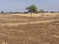  Agricultural Land for Sale in Lachapet, Kamareddy