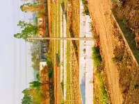  Residential Plot for Sale in Pari Chowk, Greater Noida