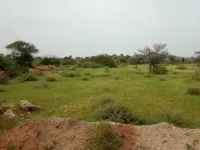  Agricultural Land for Sale in Pavagada, Tumkur