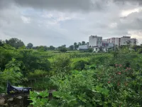 Farm House for Sale in Ajmer Road, Jaipur